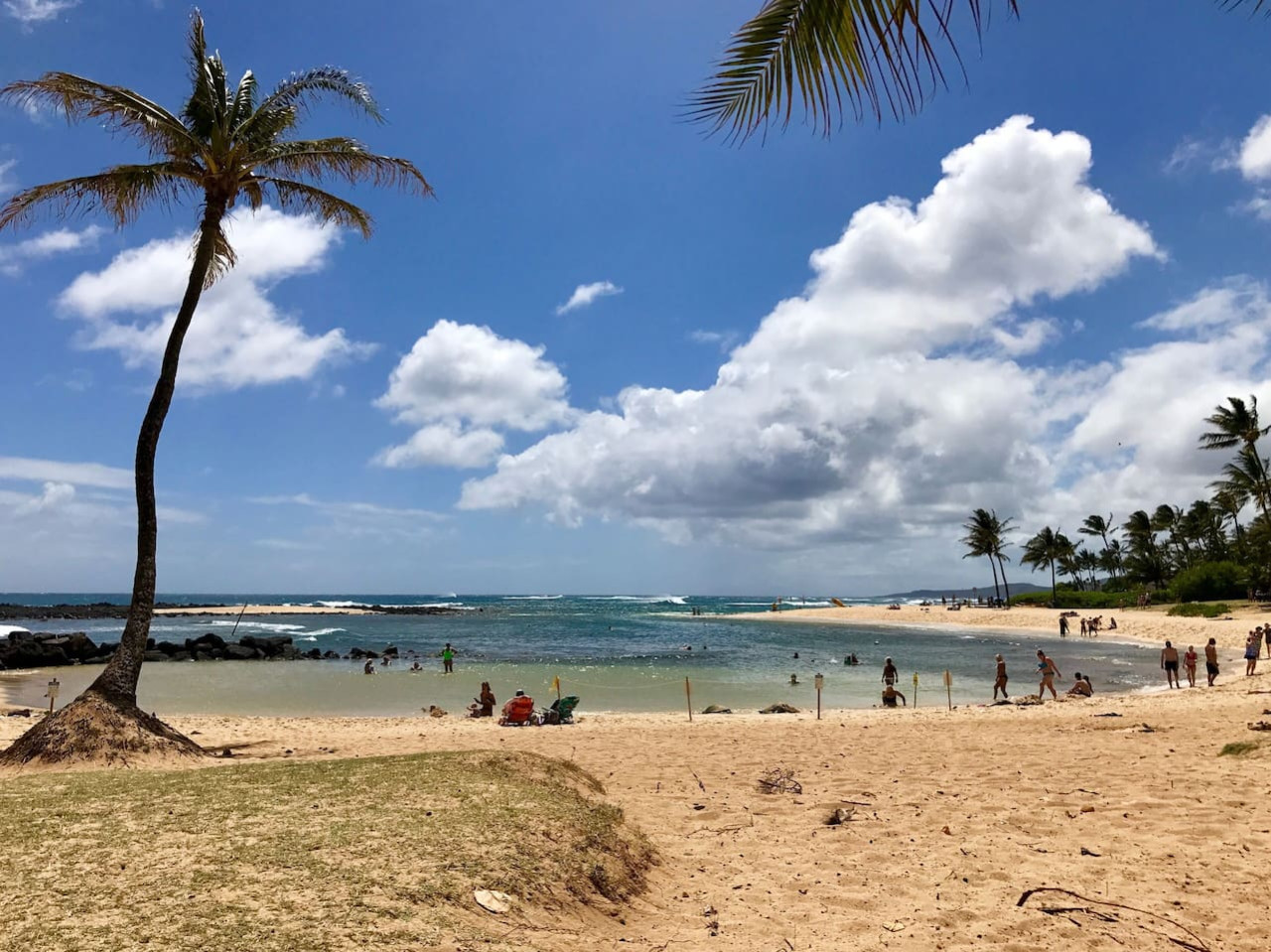 FamilyGetaway,HeatedPool,OceanViews,WalktoBeaches - Koloa FamilyGetaway,HeatedPool,OceanViews,WalktoBeaches - Koloa