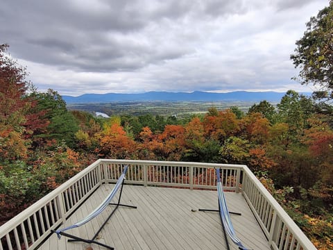 Paradise View Cabin | Private Mountain Vista + Spa