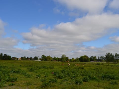 Outdoor