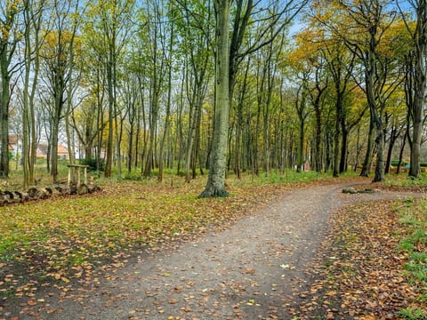 Outdoor