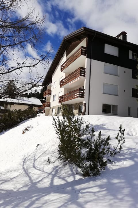 Haus Curver Bächtold Appartement/Fewo, 5-Bettwohnung (4.5 Zimmerwohnung)