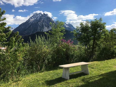 View