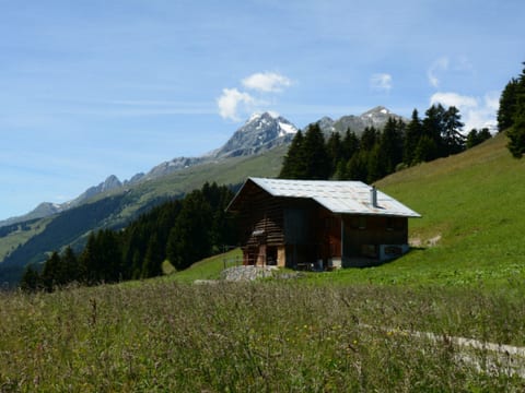 Outdoor