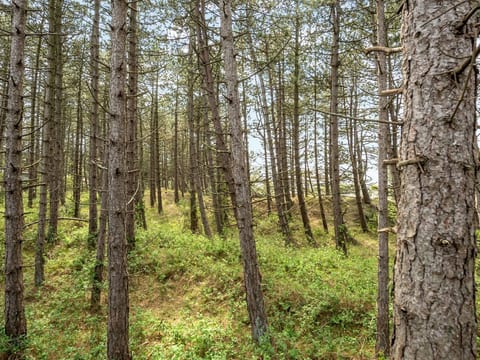 Place