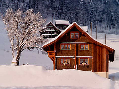 auf dem Bellahof, (Flumserberg Bergheim),