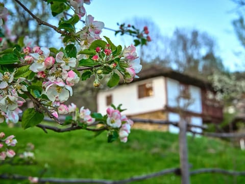 Authentisches Haus mit Bergblick - Karashka