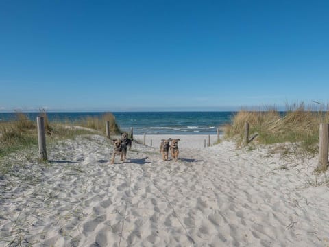 Ostsee