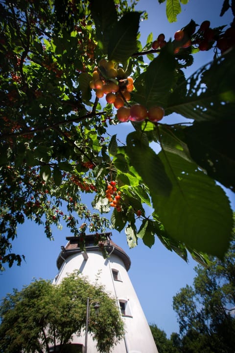 Windmill Ryn - Premium-Ferienhaus