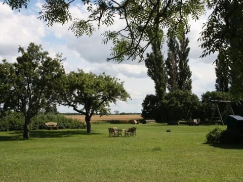 Kranich in Ummanz-Lüßvitz