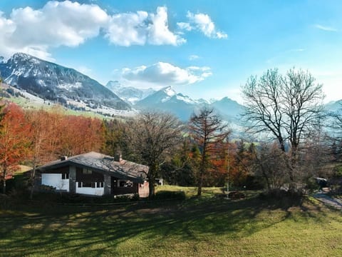 Chalet Halteweidli
