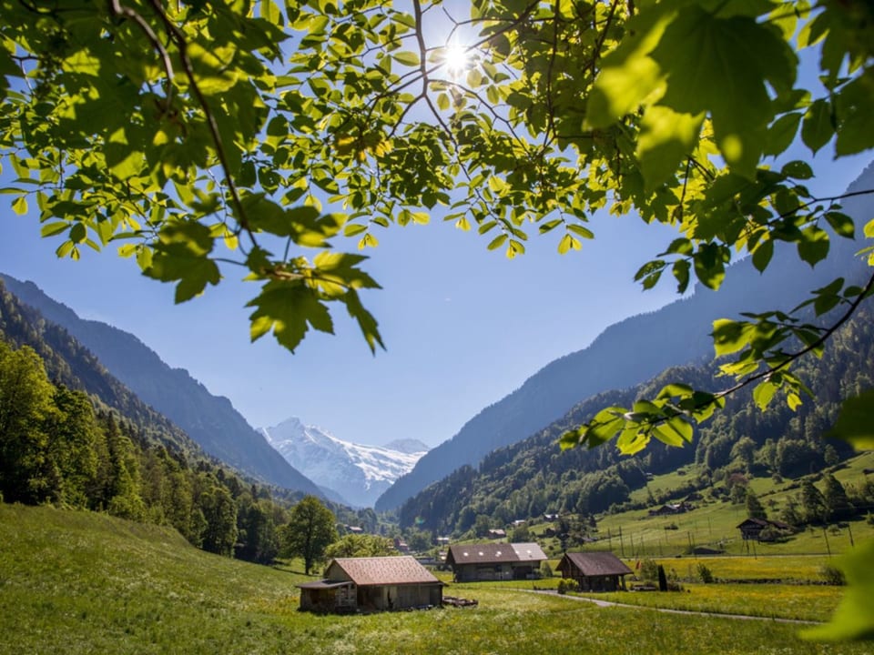 Haus bei Grindelwald - Grindelwald