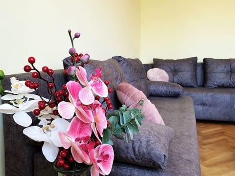 Apartment Jakominic