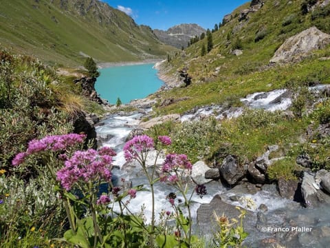 Chalet Marguerite