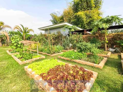 Pool • BBQ Area w/ Duck Pond • Organic Gardens