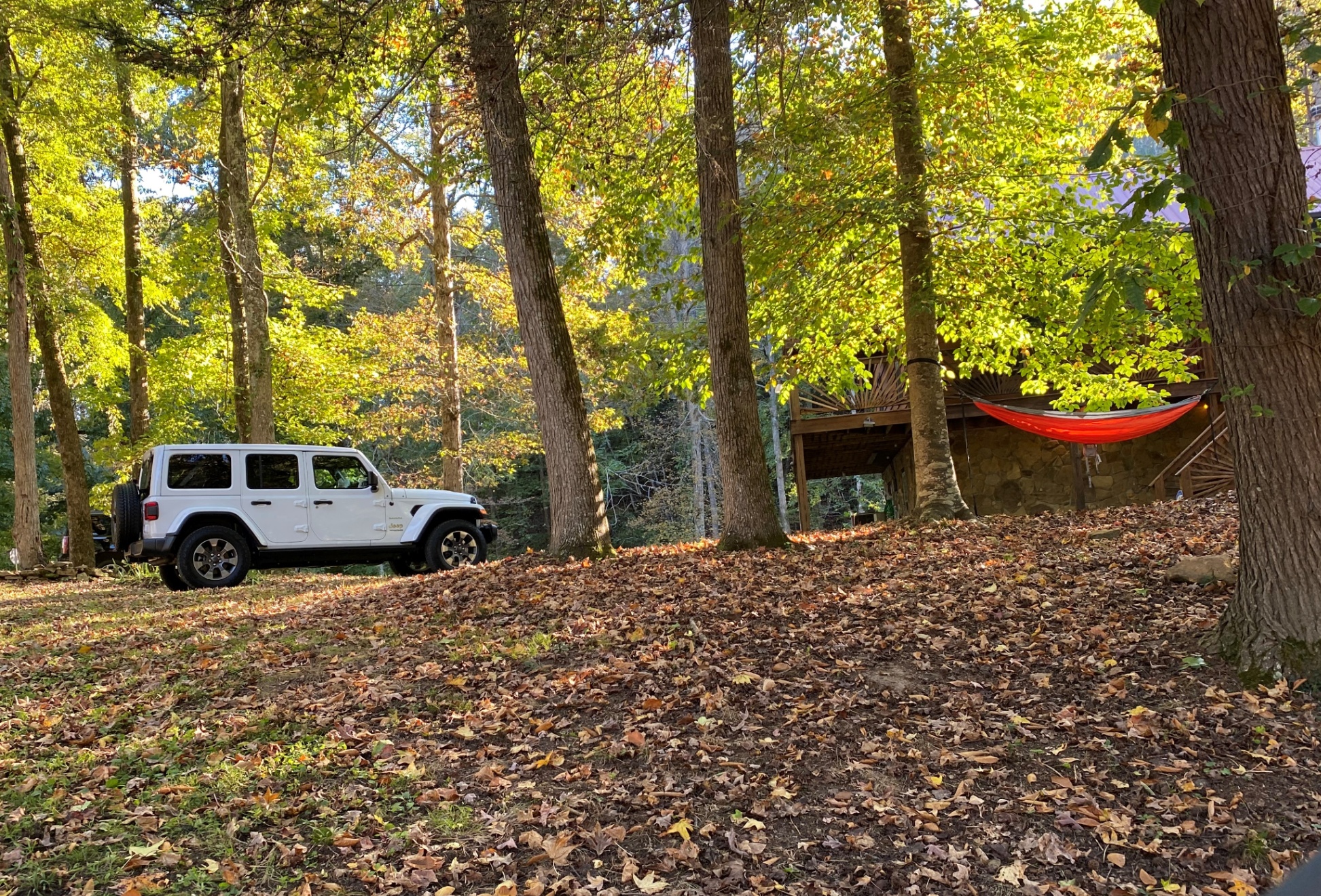 Fall is beautiful the property at Wolf River Retreat is surrounded by a canopy of trees