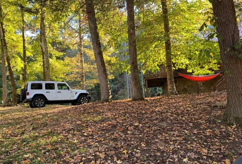 Fall is beautiful the property at Wolf River Retreat is surrounded by a canopy of trees