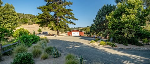 The Vintage Barn is set amongst 42 acres of pure bliss.