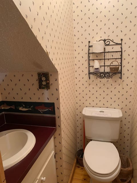 Half bath located downstairs between living room and master bedroom.