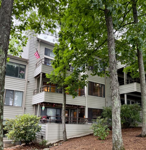 Wintergreen Ski in Ski out & All Seasons Condo