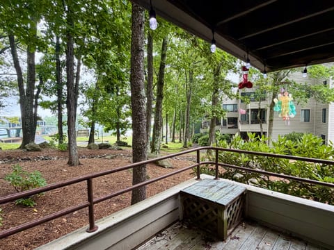 Wintergreen Ski in Ski out & All Seasons Condo