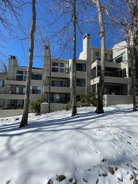 Wintergreen Condo