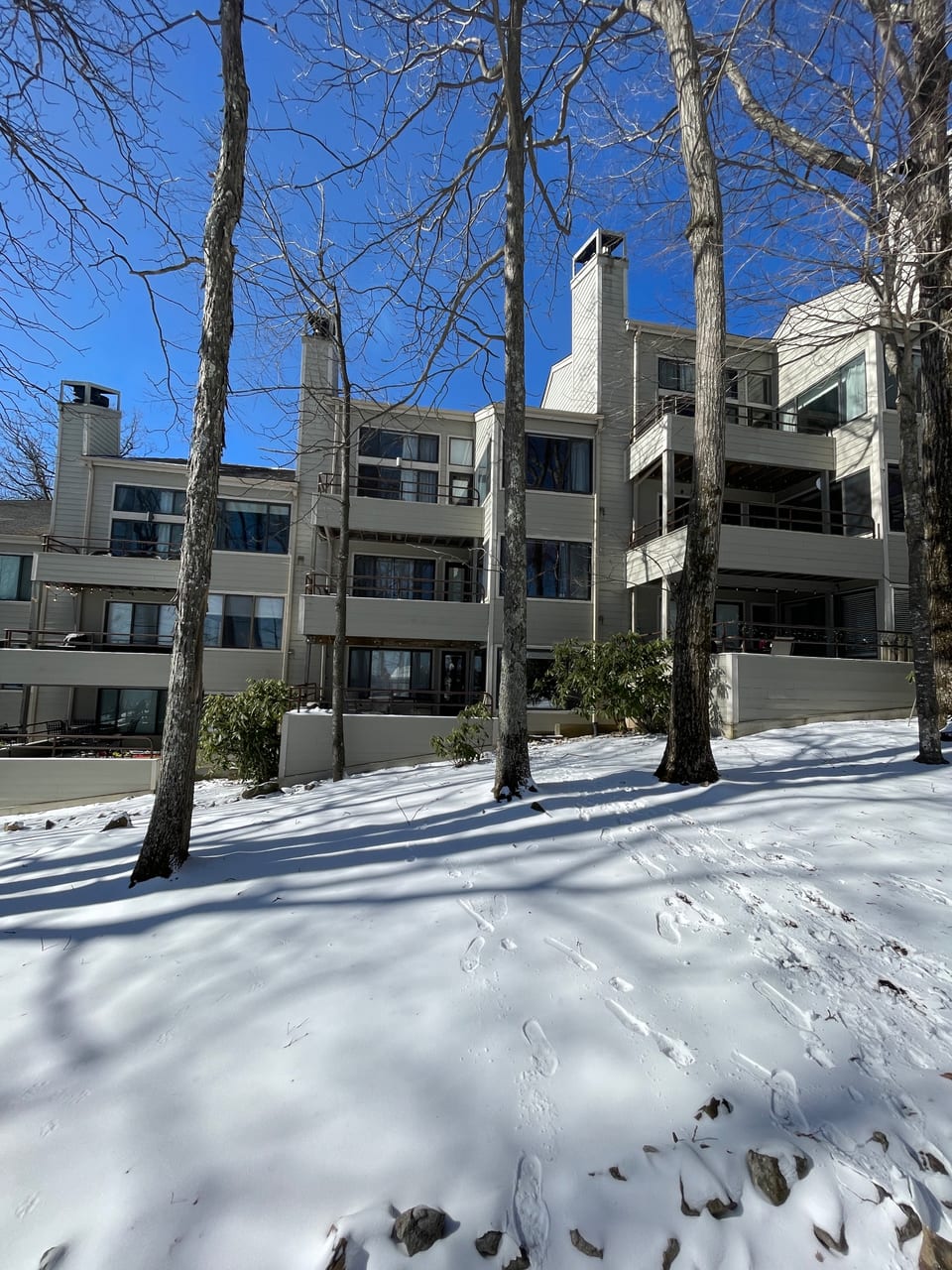 Wintergreen Ski in Ski out & All Seasons Condo - Nellysford