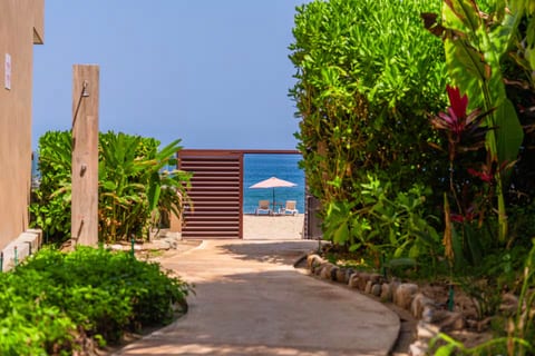 One of the most unforgettable features of our beachfront property is the effortless access to the ocean. Stroll along the beautifully landscaped tropical garden path, surrounded by lush greenery and swaying palms, until you reach the private beach gate. Open the gate, take a few more steps, and your feet are in the soft golden sand.