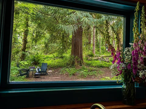 View from the kitchen window