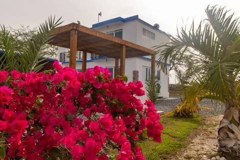 Modern Mediterranean Villa