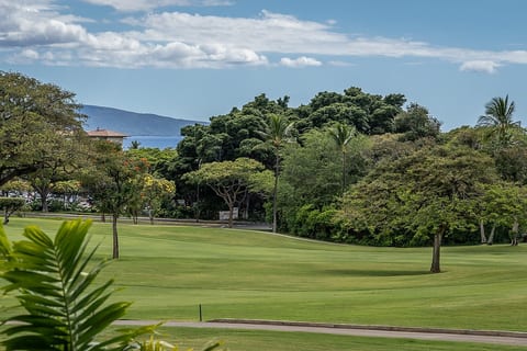 Wailea Surf Shack: Beaches, Shops & Golf! image 5