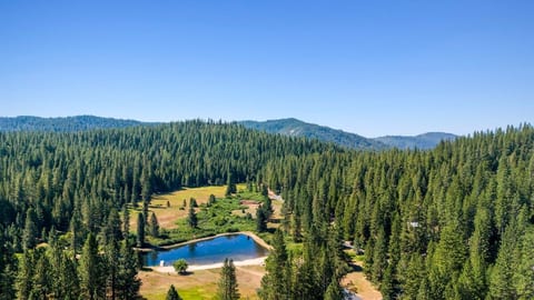 Cozy Cabin-Private Lake-Near Pinecrest/Dodge Ridge image 4