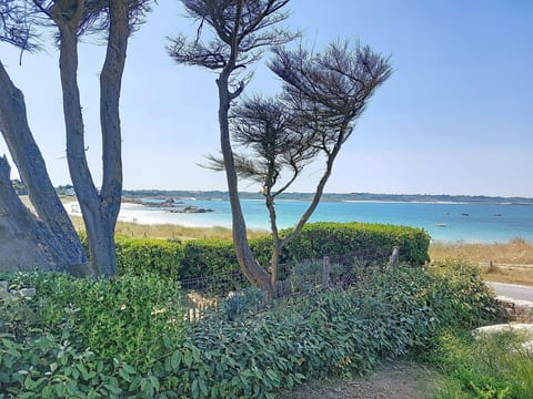 Place