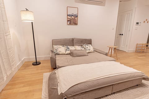Queen-size sofa bed transforms living space into comfy extra sleeping quarters for guests.