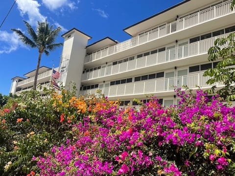 Exceptional Oceanfront Location One Bed Condo image 2