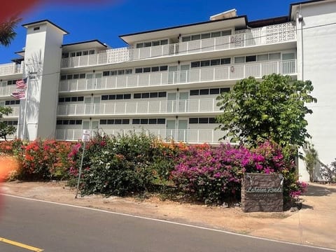 Exceptional Oceanfront Location One Bed Condo image 3