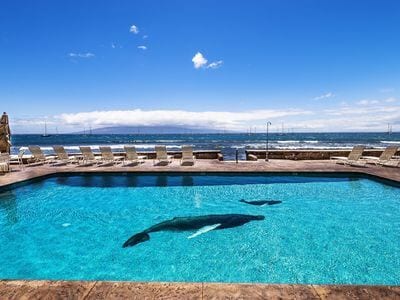 The pool located right on the ocean.