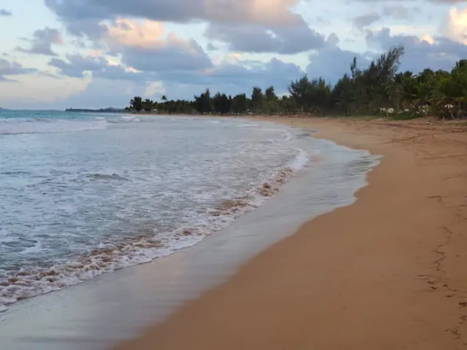 Gorgeous beach just steps from the penthouse