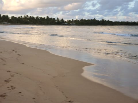 Amazing beachfront apartment on the beach image 4