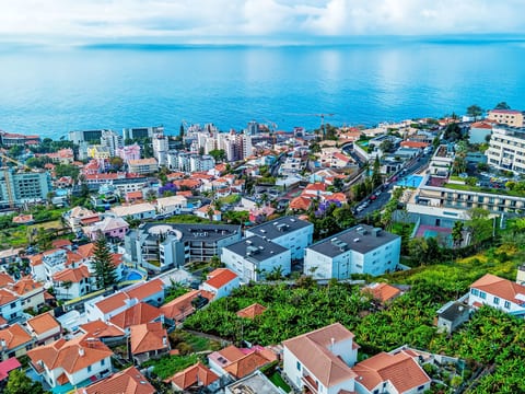 Panoramic Studio View