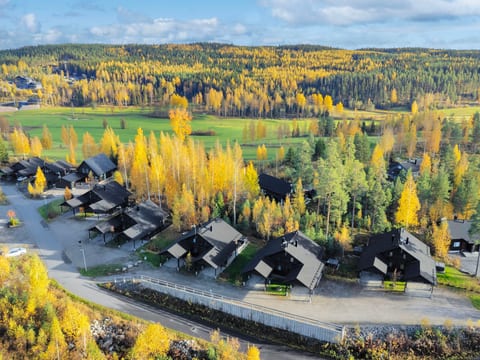 Inside other