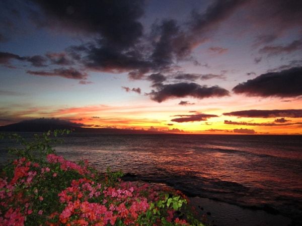 Oceanfront Turtle Cove Maui Pole House Estate image 68