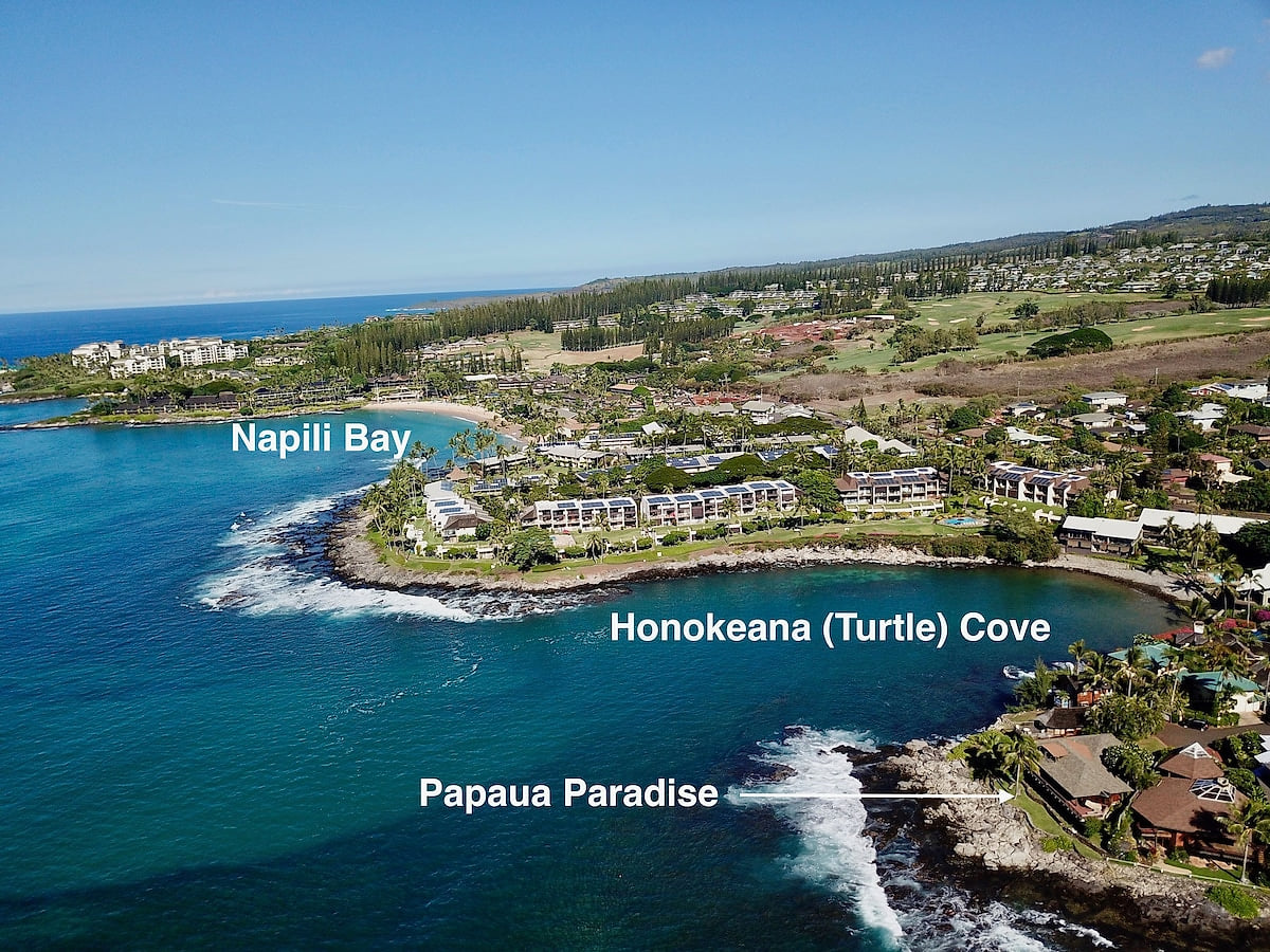 Located in the heart of Napili , Papaua Paradise has direct access to Honokeana Cove which is renowned for its massive turtles and snorkeling.  Napili Bay is a 2 minute drive away ; it's one of the top golden sand beaches in all of Maui.