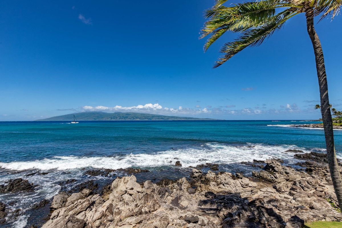 This is Hawaii as you have always desired. A marvelous home, on the water at the very tip of a peninsula on Turtle Cove. Privacy, yet minutes from restaurants, shopping, golf, seven nearby beaches and all that Maui offers.