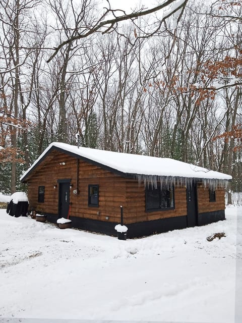 Sand Lake Cabin- Pets, BBQ, Firepit, Starlink WiFi