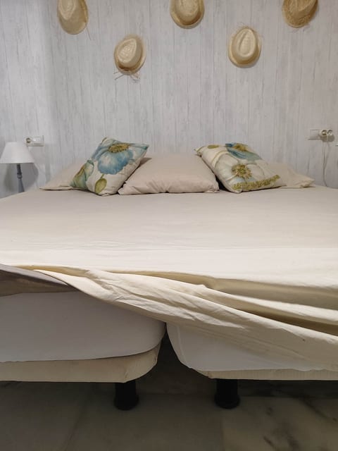 two bachelor beds