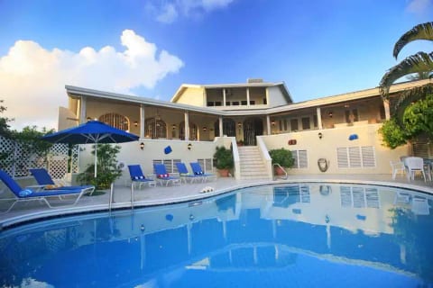 Wild Orchid - Saline Point Cap Estate