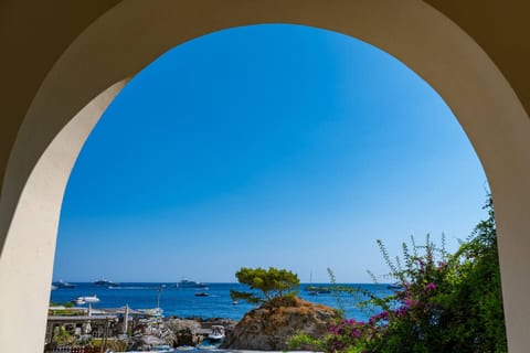 A tranquil seaside view featuring a lone tree on a rocky outcrop, surrounded by vibrant flowers and overlooking the crystal-blue ocean under a clear sky.
