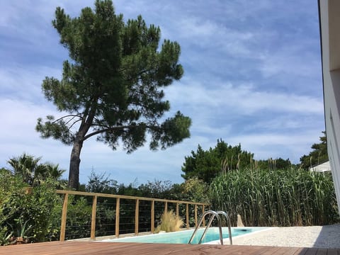 View of the pool from the terrace.