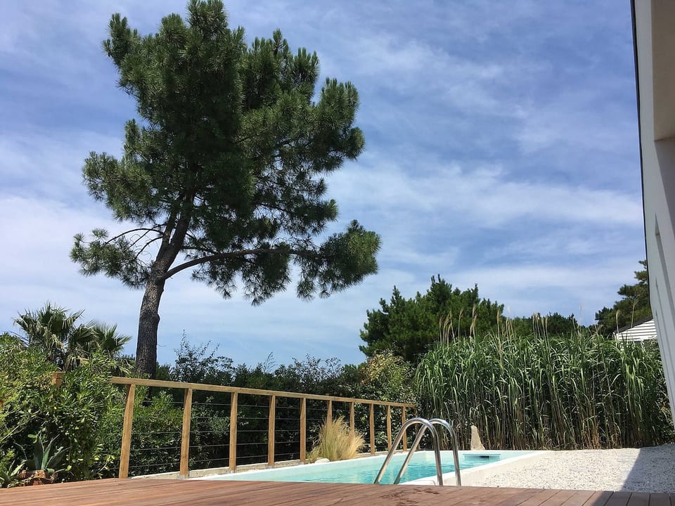 View of the pool from the terrace.