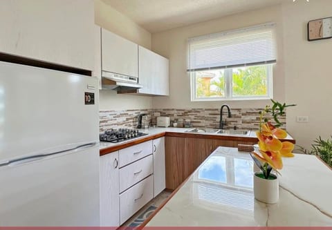Secret Garden Apt Barbados Central (15 to beaches) image 2